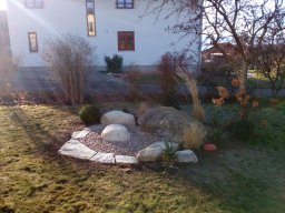 IMG_20161210_101948