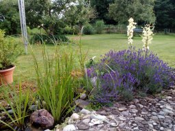 IMG_20160708_194107