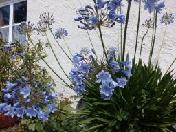 IMG_20160723_121742