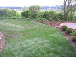 IMG_0816